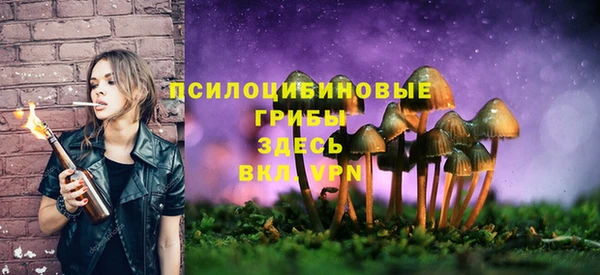 МДПВ Балабаново
